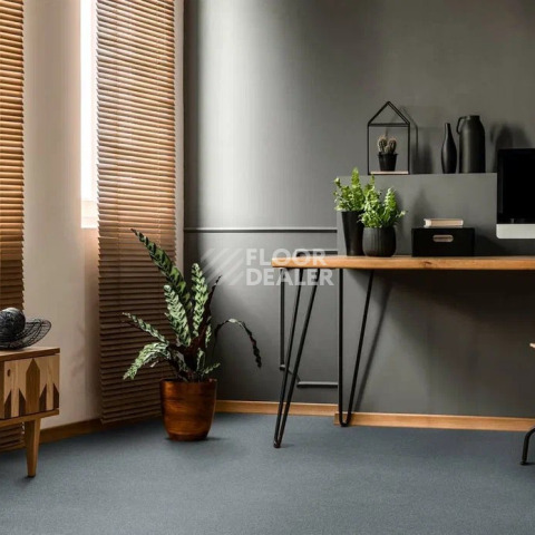 AW Westminster / Вестминстер 79 фото 2 | FLOORDEALER